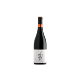 arca de noe sin fondo